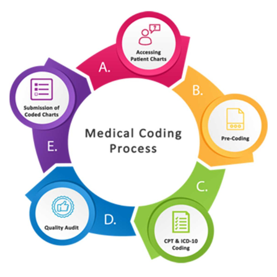 Medical Coding that involves translating medical diagnoses, procedures, and services into universal alphanumeric codes. These codes are used for billing, reimbursement, and statistical analysis. that involves translating medical diagnoses, procedures, and services into universal alphanumeric codes. These codes are used for billing, reimbursement, and statistical analysis.